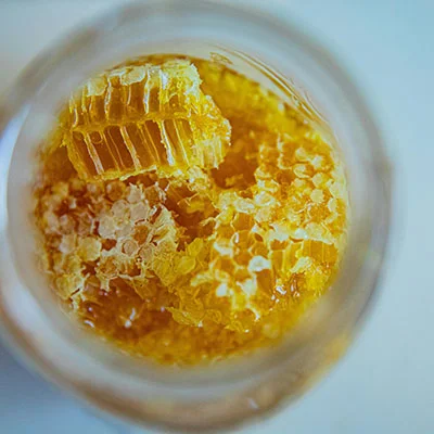 12月10日|21.3M/S，Shadowrocket节点/Clash节点/SSR节点/V2ray节点|免费订阅机场|每天更新免费梯子